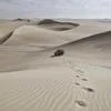 资源管理